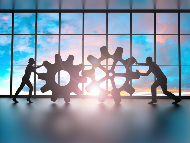 Human Resource Management (HRM)