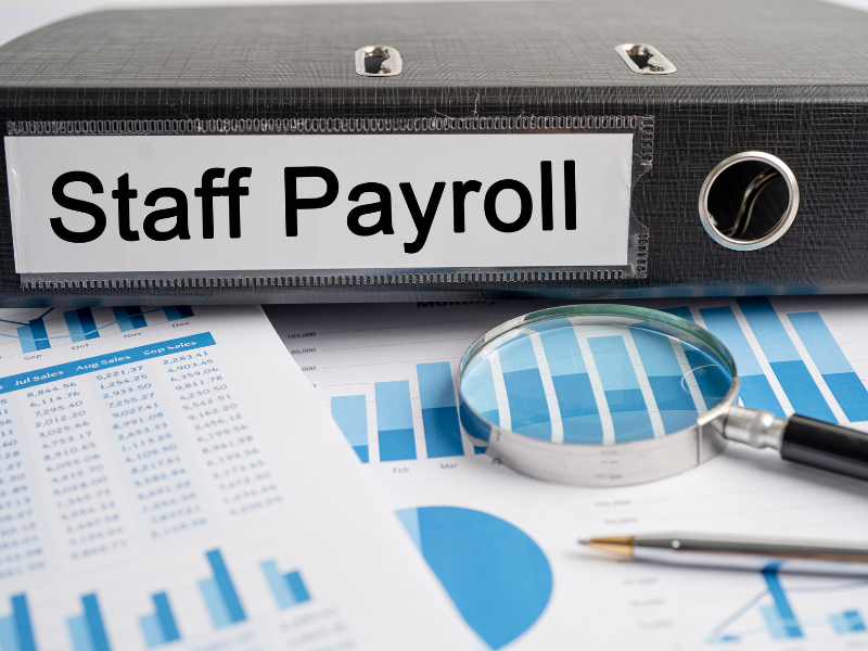 Payroll Software