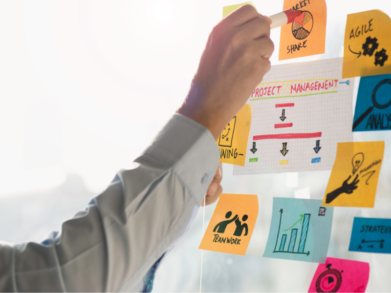 Project Management Software