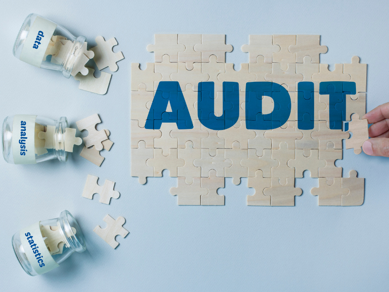 Audit Management Software