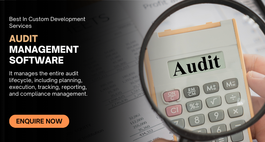 Audit Management Software