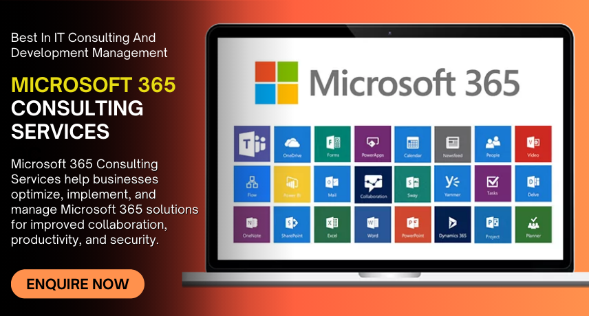 Microsoft 365 Consulting Services